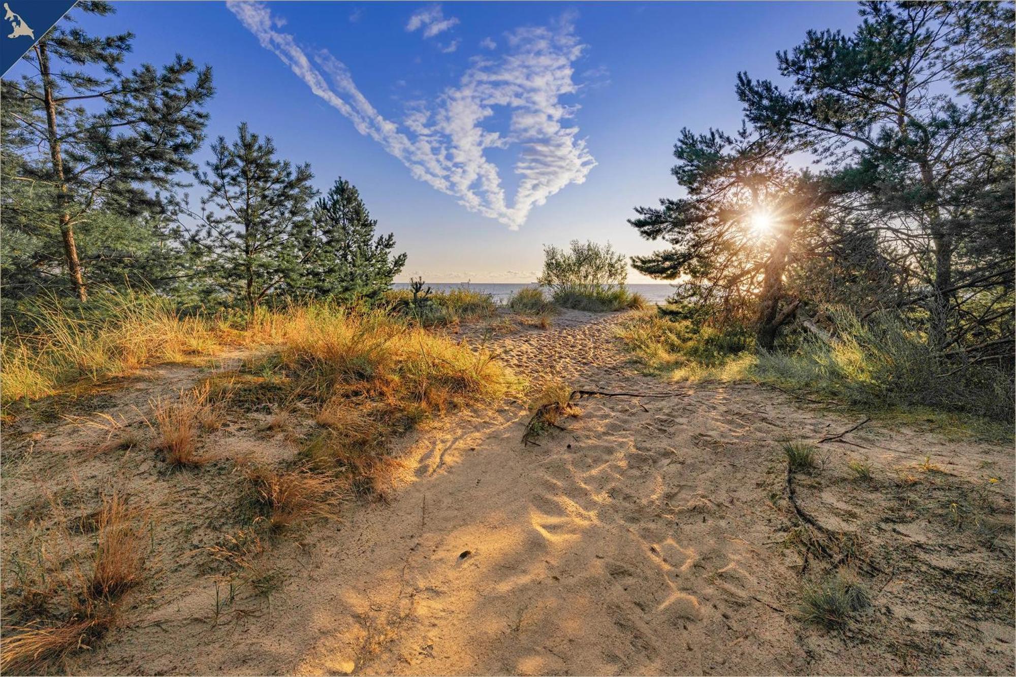 Nur 100M Zum Strand Fewo Ostseeflair By Pro Home Appartements Zempin Kültér fotó